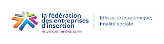La fédération des entreprises d'insertion Auvergne Rhône Alpes Vaulx-en-Velin