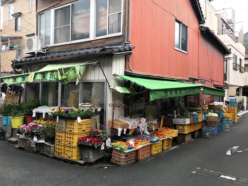 橋本食料品店