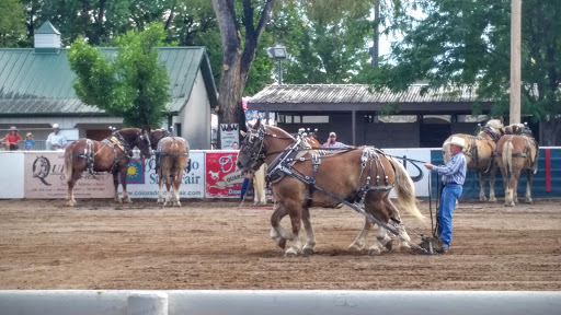 Fair «Colorado State Fair Rentals», reviews and photos, 1001 Beulah Ave, Pueblo, CO 81004, USA