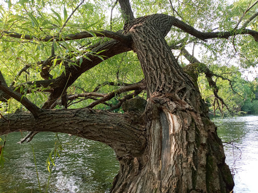 Park «Akin Riverside Park», reviews and photos, 1721 River Ave, Anoka, MN 55303, USA