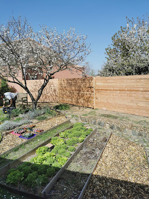 Dibard Espaces - Verts - Élagueur Toulouse : Taille Élagage Abattage d'Arbres 31 Haute-Garonne Balma Blagnac L'Union à Toulouse