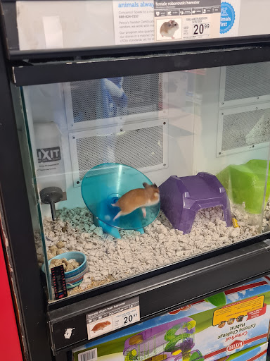 Pet Supply Store «Petco Animal Supplies», reviews and photos, 308 E Meighan Blvd, Gadsden, AL 35903, USA