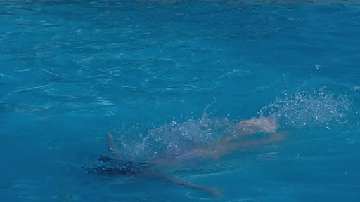 Water Park «Spring Valley Beach», reviews and photos, 2340 County Hwy 55, Blountsville, AL 35031, USA