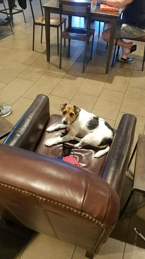 Starbucks image