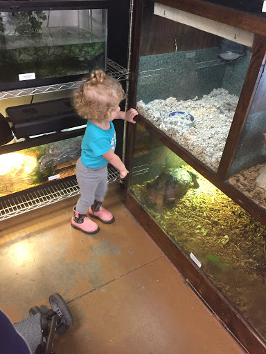 Pet Store «Zookeeper Exotics», reviews and photos, 9012 Research Blvd, Austin, TX 78758, USA