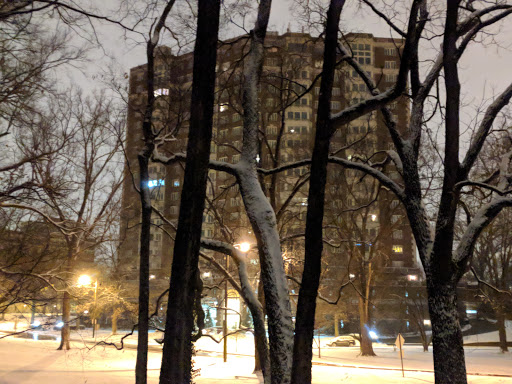 Park «Willow Park», reviews and photos, 1402 Willow Ave, Louisville, KY 40204, USA