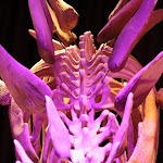 Photo n° 18 de l'avis de Antoine.a fait le 21/08/2020 à 14:42 pour Paléospace à Villers-sur-Mer