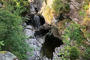 Falls of Bruar image