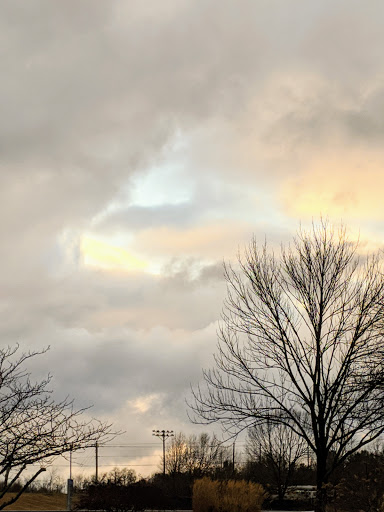 Winery «Oliver Winery», reviews and photos, 200 East Winery Road, Bloomington, IN 47404, USA