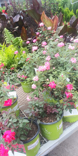 Home Improvement Store «The Home Depot», reviews and photos, 3451 NW Federal Hwy, Jensen Beach, FL 34957, USA