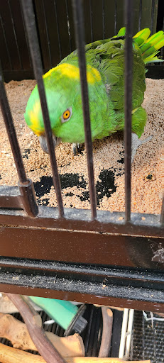 Pet Supply Store «Creative Pet Supply», reviews and photos, 305 N Harbor Blvd, San Pedro, CA 90731, USA