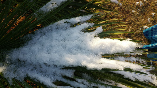 Park «Nani Falcone Community Park», reviews and photos, 7625 Mystic Park, San Antonio, TX 78254, USA