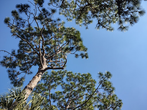 Park «Phelps Park», reviews and photos, Phelps Ave, Winter Park, FL 32789, USA