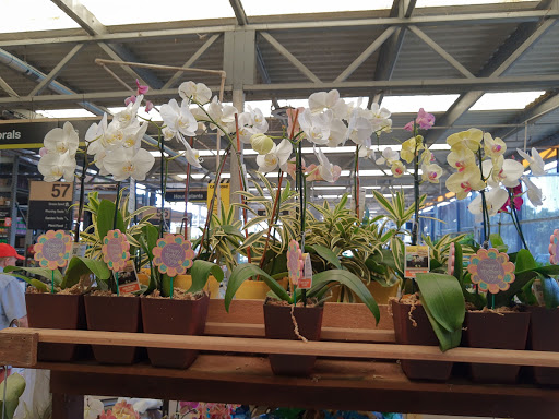 Home Improvement Store «The Home Depot», reviews and photos, 2000 8th St NW, Winter Haven, FL 33881, USA