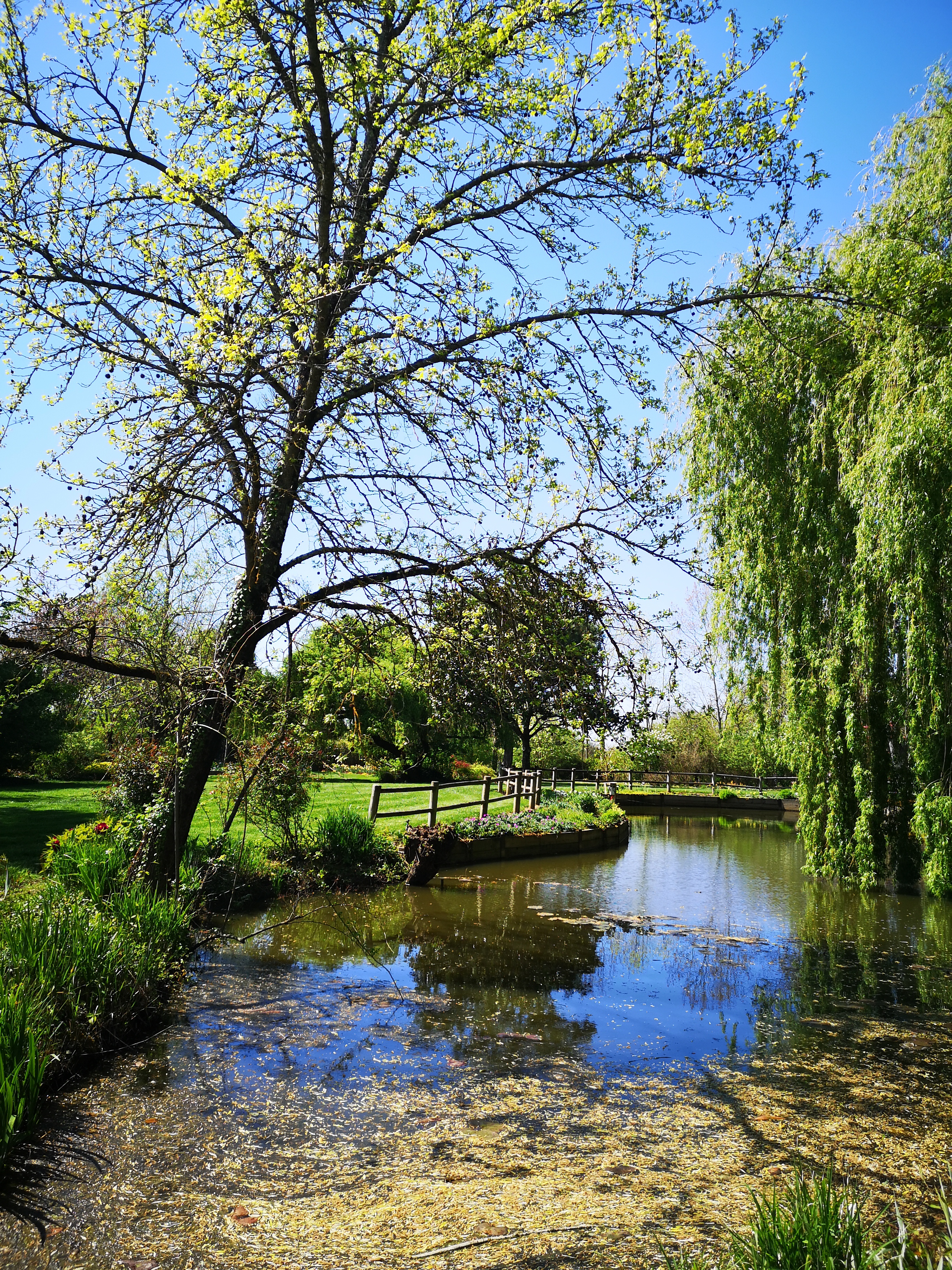 Photo n° 12 de l'avis de Ness.e fait le 29/03/2017 à 13:46