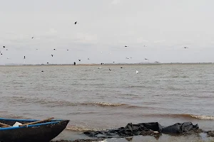 Tungabhadra Reservoir image