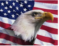 Action Sport & Power Equipment - Photo 3 - Car repair in Santa Rosa, CA, Santa Rosa