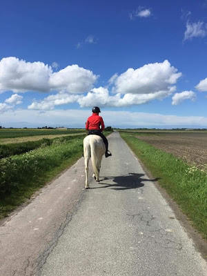 Haras du Carbonnet à Ghyvelde