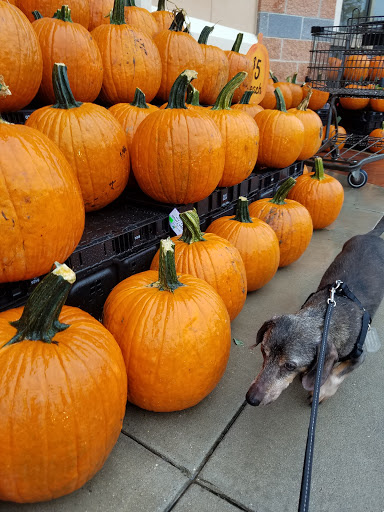 Supermarket «Wegmans», reviews and photos, 8297 Stonewall Shops Square, Gainesville, VA 20155, USA