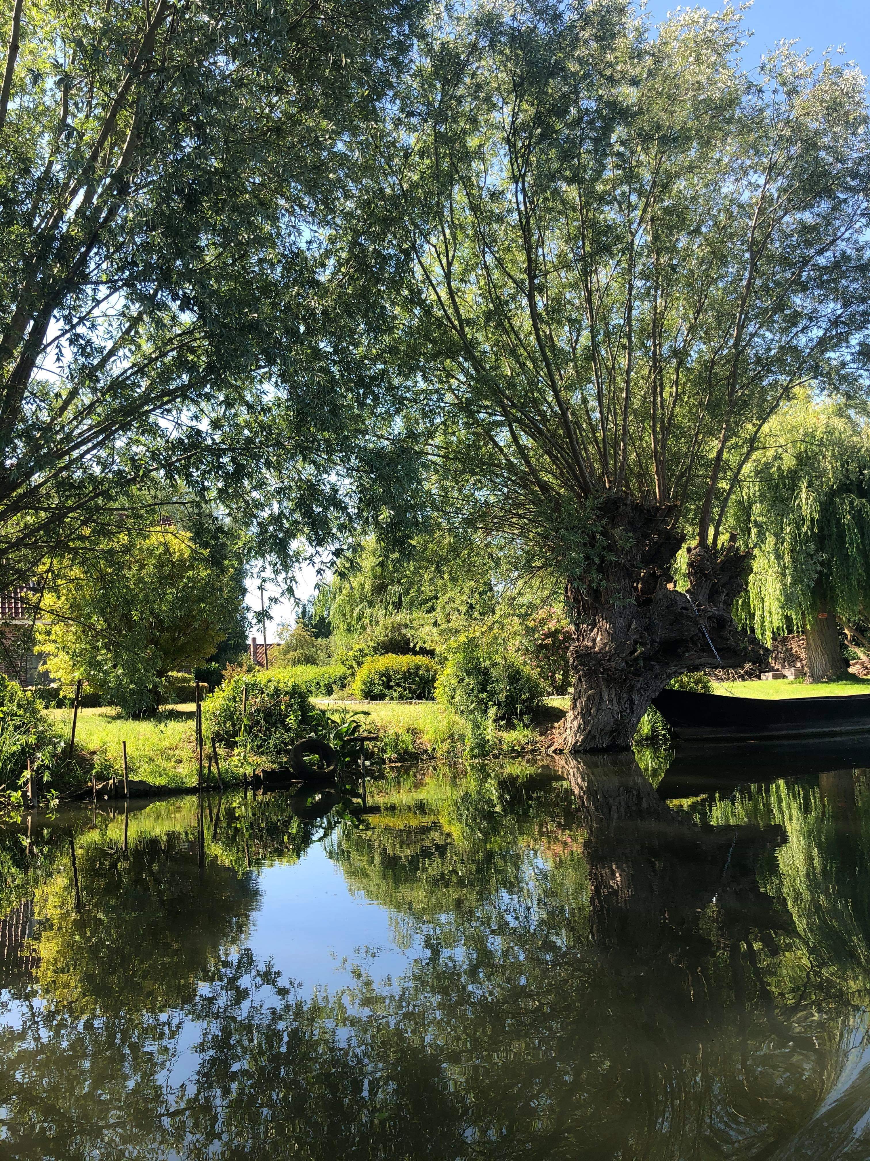 Photo n° 2 de l'avis de Virg.n fait le 03/06/2020 à 08:39