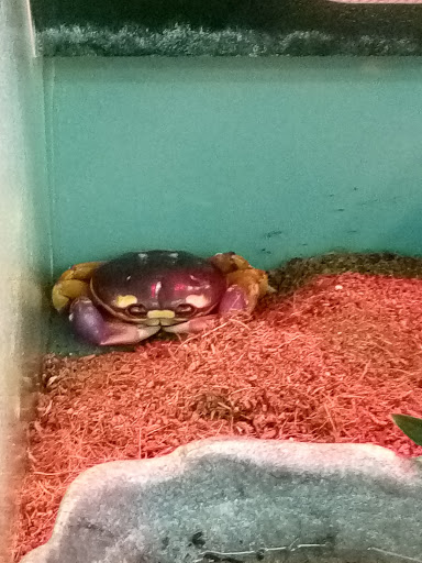 Pet Supply Store «Pet Supplies Plus», reviews and photos, 7570 Pearl Rd, Middleburg Heights, OH 44130, USA