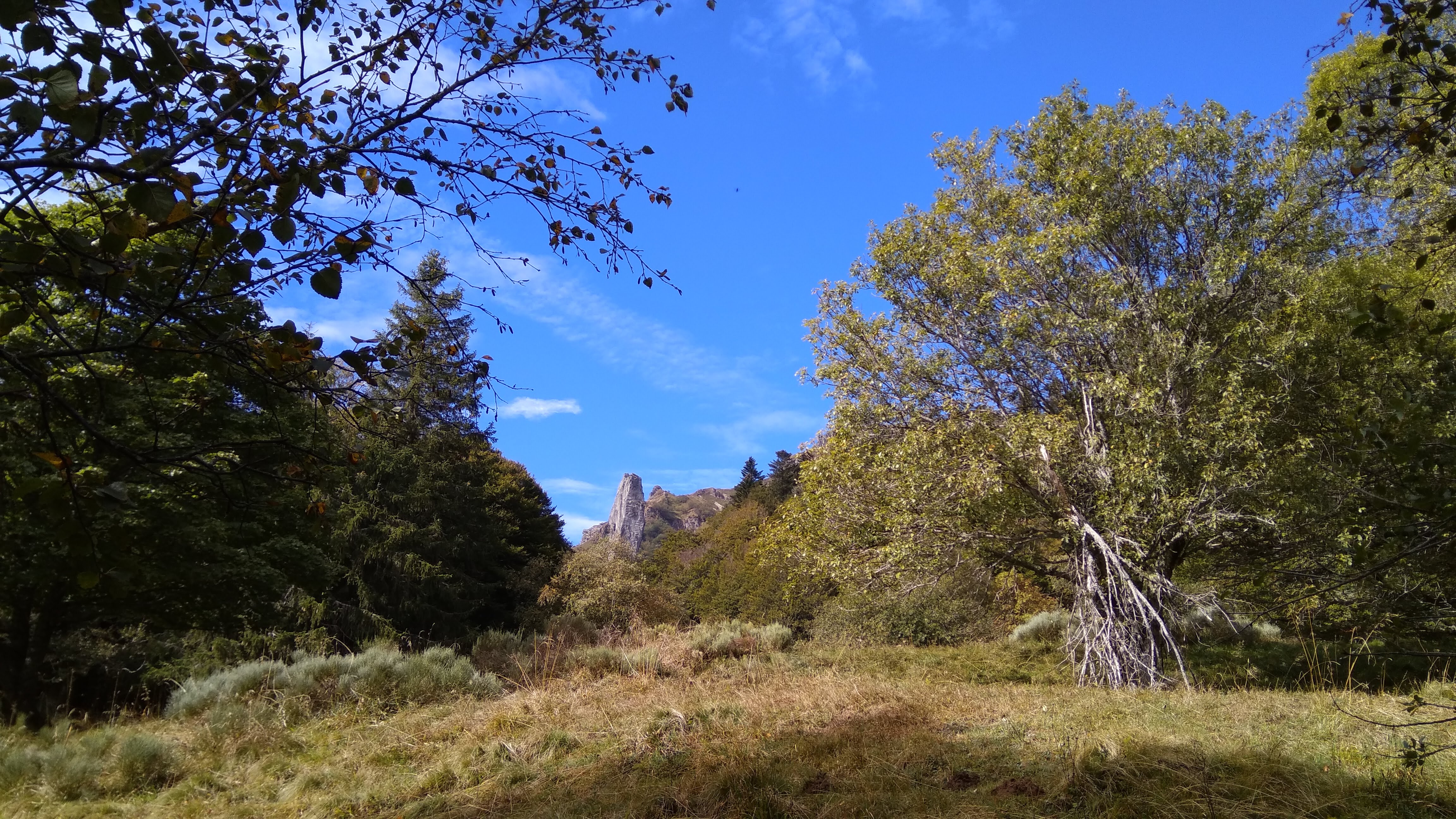 Photo n° 16 de l'avis de Jean-Philippe.a fait le 23/09/2018 à 14:34