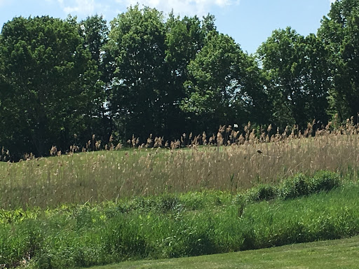 Public Golf Course «River Bend Country Club», reviews and photos, 250 E Center St, West Bridgewater, MA 02379, USA