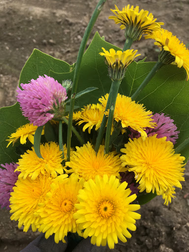 Auto Repair Shop «808 AUTOMOTIVE, LLC», reviews and photos, 29758 S Barlow Rd, Canby, OR 97013, USA