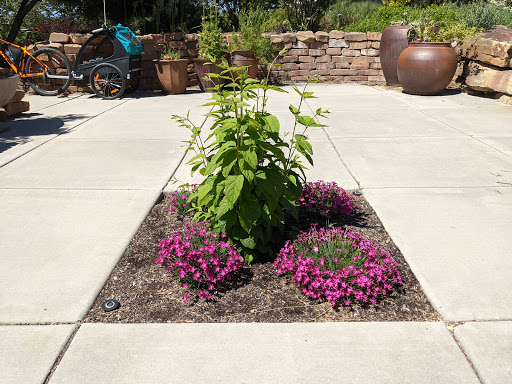 Botanical Garden «Conservation Garden Park», reviews and photos, 8275 1300 W, West Jordan, UT 84088, USA