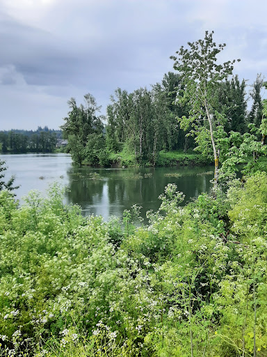 Drug Store «Walgreens», reviews and photos, 20100 McLoughlin Blvd, Gladstone, OR 97027, USA