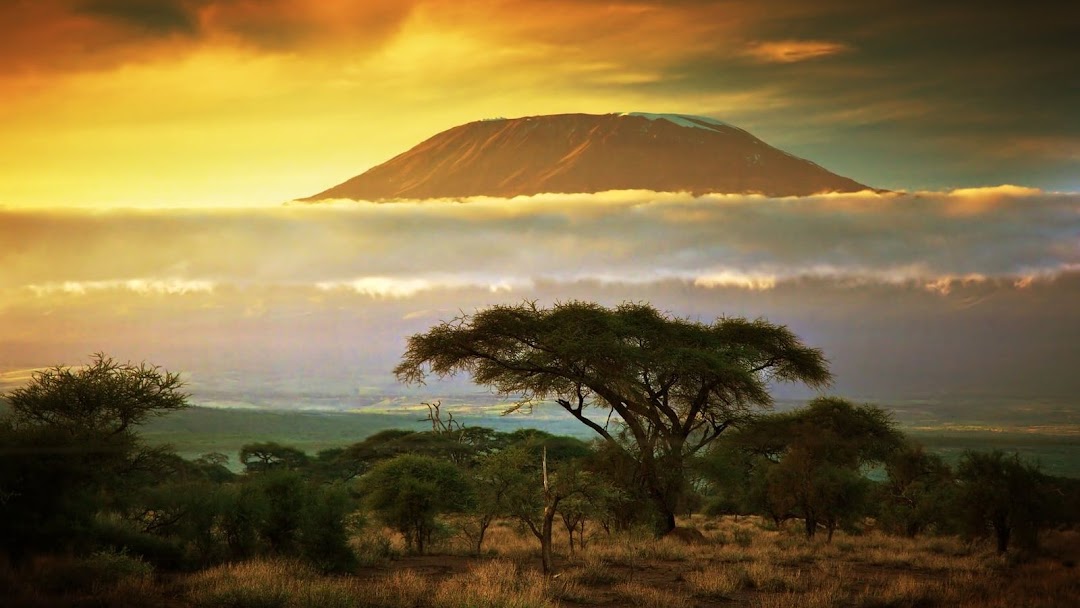 Kilimanjaro 360