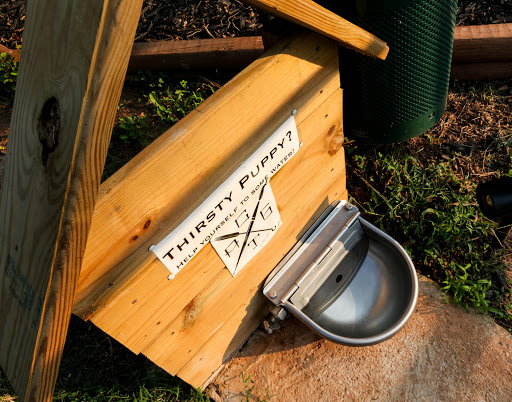 Tattoo Shop «Canvas Tattoo & Art Gallery», reviews and photos, 3012 N Davidson St, Charlotte, NC 28205, USA