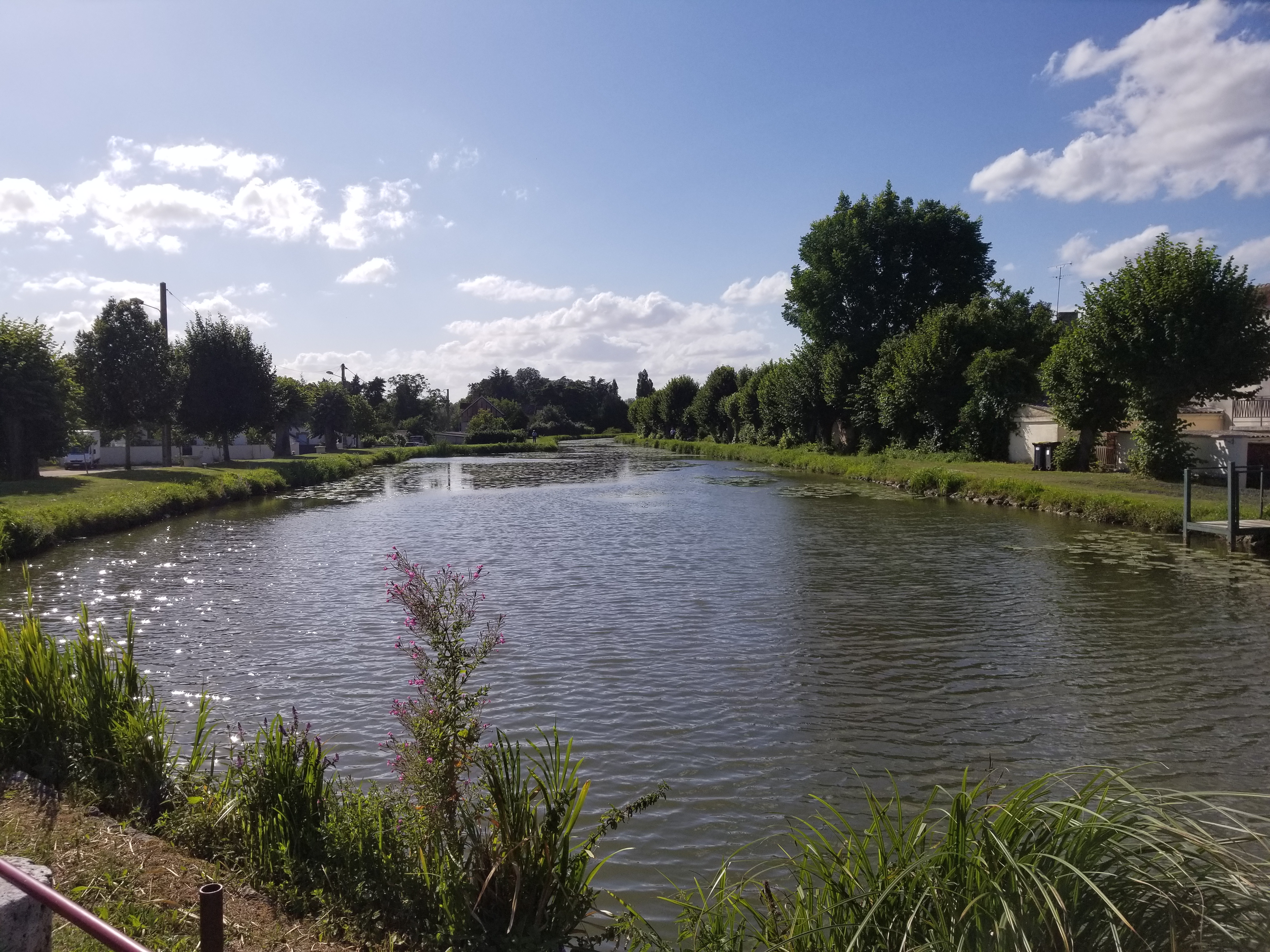 Photo n° 2 de l'avis de STEVENOT.n fait le 31/07/2021 à 18:17