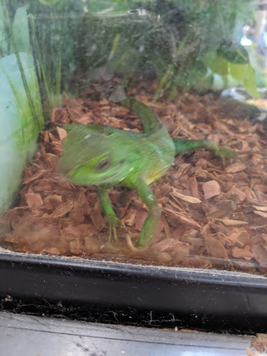 Pet Supply Store «Petco Animal Supplies», reviews and photos, 1215-1309 NJ-33 #1, Hamilton Township, NJ 08690, USA