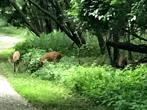 Golf Course «RiverWinds Golf & Tennis Club», reviews and photos, 270 Eagle Point Rd, West Deptford, NJ 08086, USA