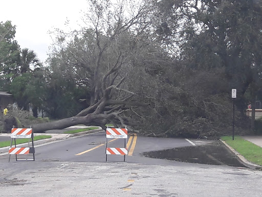 Community Center «John H Jackson Community Center», reviews and photos, 1002 Carter St, Orlando, FL 32805, USA