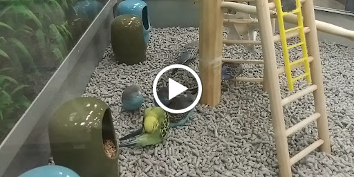 Pet Supply Store «Petco Animal Supplies», reviews and photos, 31419 Pacific Hwy S, Federal Way, WA 98003, USA