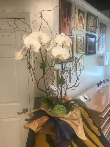 Explore dreaming tattoo ideas, creative tattoo ideas in Lake Bluff, available at Evolution Body Arts
