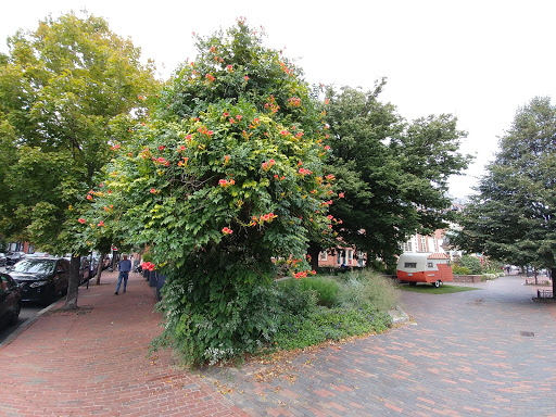 Performing Arts Theater «Boston Center for the Arts», reviews and photos, 539 Tremont St, Boston, MA 02116, USA