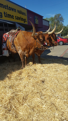 Grocery Store «Lebanon Mega Foods», reviews and photos, 1950 S Main St, Lebanon, OR 97355, USA