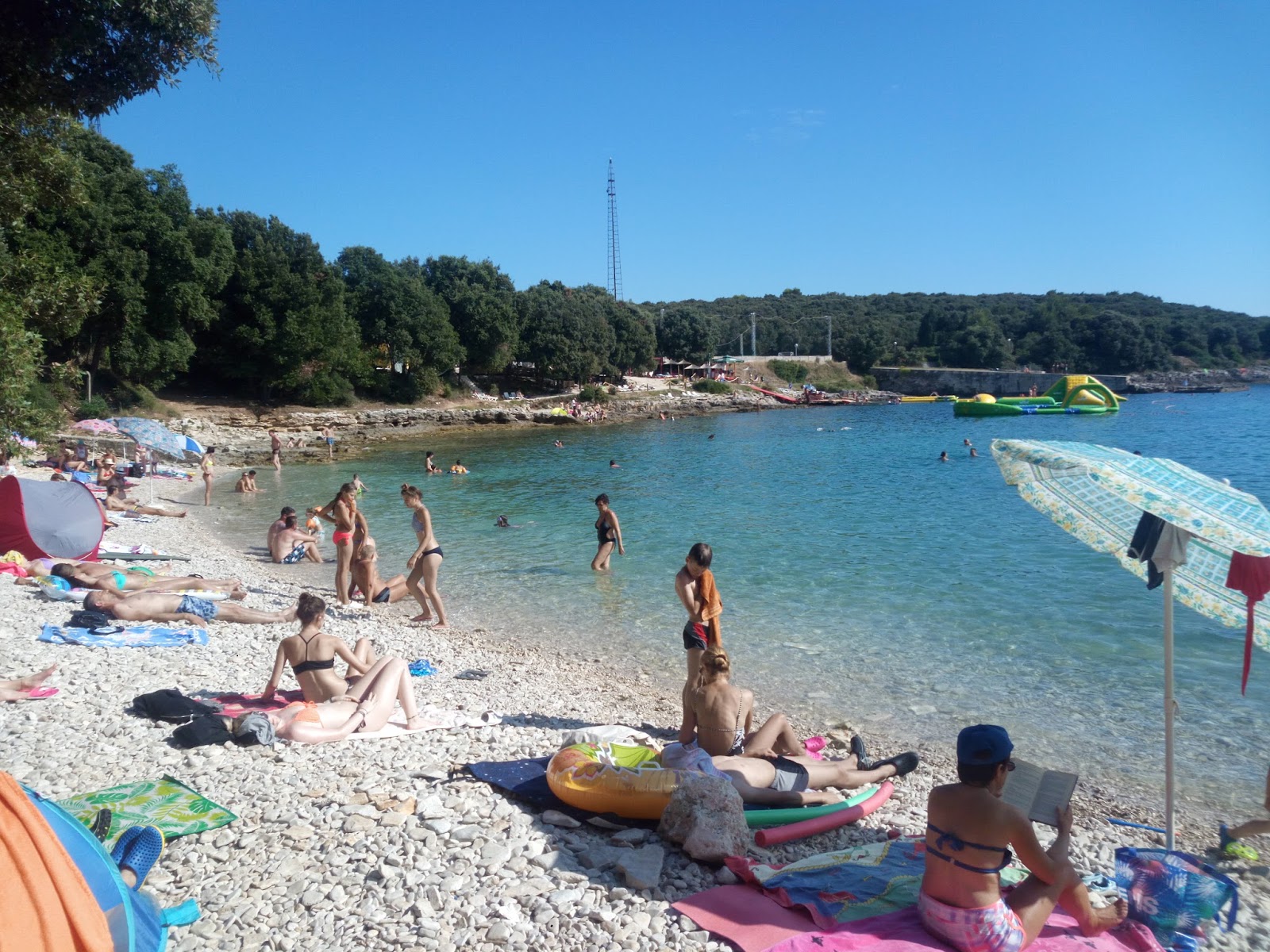 Φωτογραφία του Saccorgiana Cove με επίπεδο καθαριότητας πολύ καθαρό