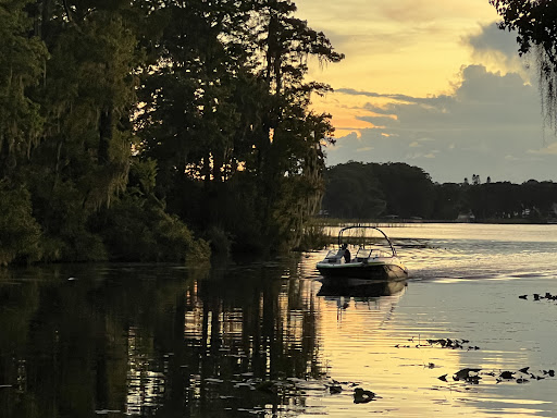 Park «John Chesnut Senior Park», reviews and photos, 2200 E Lake Rd S, Palm Harbor, FL 34685, USA