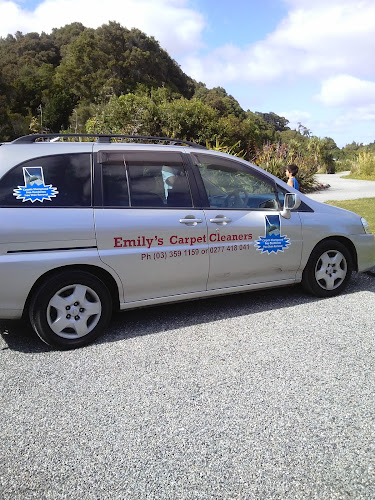 emilys-carpet-cleaners.co.nz