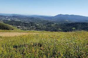 Lucas Valley Preserve image