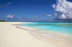Photo de Bird Island Beach zone sauvage