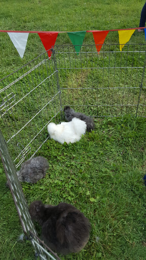 Ski Resort «Shawnee Mountain Ski Area», reviews and photos, 401 Hollow Rd, East Stroudsburg, PA 18301, USA