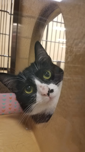 Pet Supply Store «PetSmart», reviews and photos, 4180 US-1, Monmouth Junction, NJ 08852, USA