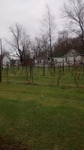 Winery «At The Barn Winery», reviews and photos, 4152 N Dearborn Rd, Lawrenceburg, IN 47025, USA