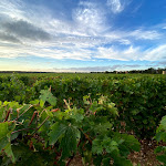Photo n°6 de l'avis de Alessandro.o fait le 21/08/2020 à 12:17 sur le  Osteria del Tasso à Bolgheri