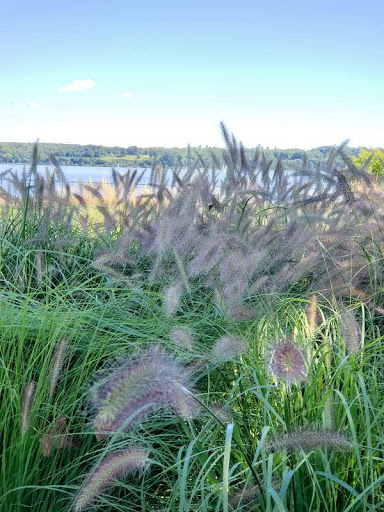 Event Venue «Hutton Brickyards», reviews and photos, 200 North St, Kingston, NY 12401, USA